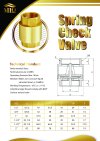 สปริงเช็ควาล์วทองเหลือง Spring Check Valve (ขนาด 1/2" - 2") วาล์วกันน้ำย้อน