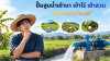 ปั๊มน้ำสำหรับใช้ในนา ไร่ สวน เลือกแบบไหนดี - สหคิมมอเตอร์