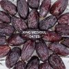 King Medjoul Dates  อินทผลัมใหญ่ พันธุ์(เมดจูล)