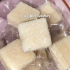 coconut gummy  กัมมี่มะพร้าว