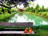 ที่เที่ยวคลองเขื่อน ที่เที่ยวคลองเขื่อน
