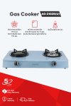 Double Burner Gas Stove with Infrared and Brass Burner