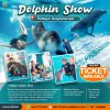 Dolphin Show Pattaya Entrance Ticket