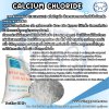 Calcium Chloride , แคลเซี่ยมคลอไรด์ จีน