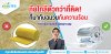 ภัยใกล้ตัวกว่าที่คิดหากเลือกฉนวนผิดแบบ ภัยใกล้ตัวกว่าที่คิดหากเลือกฉนวนผิดแบบ