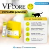 VFcore Lysine [30 ซอง]