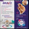 Bravecto Plus แมว 2.8 - 6.25 กก (1 หลอด/กล่อง) บราเวคโต้ พลัส แมว (สีเทา)