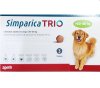 Simparica Trio สุนัข 20 - 40 กก [3 เม็ด/กล่อง] ซิมพาริก้า ทรีโอ้