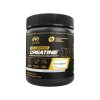 PVL 100% Pure Creatine 240 g