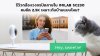  รีวิวกล้องวงจรปิดภายใน_IMILAB_SC230