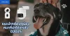 แนะนำกล้องดูน้องหมาที่น่าใช้งานในปี 2025