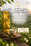 AUREN Young Bud Jasmine Tea