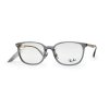 RayBan
