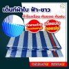 เต็นท์ผ้าใบ ฟ้า-ขาว