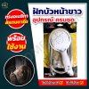 ฝักบัวหน้าขาว ทรงอเมริกา สแตนดาร์ด 962