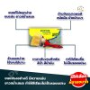 (ยกโหล) แปรงทาสีมีเชือกด้ามแดงขนขาว XYZ