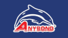 Anybond