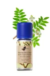 Frankencense Pure Essental Oil