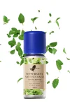 Peppermint Pure Essential Oil