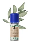 Eculyptus Pure Essential Oil