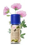 Geranium Pure Essential Oil