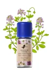 Organic Thyme Pure Essential Oil