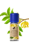 Organic Ylang Ylang Pure Essential Oil
