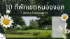10 ที่พักเขตหนองจอก 2026 ราคาดี ใกล้ธรรมชาติกรุงเทพฯ 10 ที่พักเขตหนองจอก 2026 ราคาดี ใกล้ธรรมชาติกรุงเทพฯ