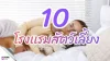 10 ธุรกิจโรงเเรมสัตว์เลี้ยงในกรุงเทพ 10 ธุรกิจโรงเเรมสัตว์เลี้ยงในกรุงเทพ