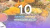 10 ร้านขนมไทยย่านพระนคร หอมหวานแบบต้นตำรับ ละมุนลิ้นทุกคำที่ได้ลอง 10 ร้านขนมไทยย่านพระนคร หอมหวานแบบต้นตำรับ ละมุนลิ้นทุกคำที่ได้ลอง