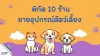 พิกัด 10 ร้านขายอุปกรณ์สัตว์เลี้ยง