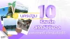 10 รีสอร์ทสไตล์มินิมอล นครปฐม บรรยากาศดี ราคาจับต้องได้ 10 รีสอร์ทสไตล์มินิมอล นครปฐม บรรยากาศดี ราคาจับต้องได้