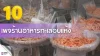 เปิด 10 เพจร้านอาหารทะเลอบแห้ง ที่สายกินต้องห้ามพลาด