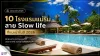 10 โรงแรมแม่ริม สาย Slowlife ที่ไม่ควรพลาดปี 2026 10 โรงแรมแม่ริม สาย Slowlife ที่ไม่ควรพลาดปี 2026