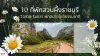 10 ที่พักสวนผึ้งราชบุรี วิวสวย