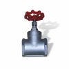 เกทวาล์ว เกลียว สแตนเลส SS316 รุ่น 200WOG - Gate Valve