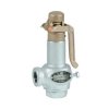 เซฟตี้วาล์ว (Safety and Relief Valve) รุ่น AL-10 | Yoshitake