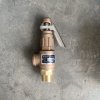 Safety Relief Valve รุ่น SRV-L (W/P 10 Bar) | KISTLER