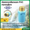 เกลียวนอก ทองเหลือง PVC พีวีซี ขนาด 1/2 นิ้ว หนา 13.5 (ท่อน้ำไทย)