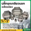 ปลั๊กอุดเกลียวนอกเหล็ก ฝาอุดท่อเกลียวนอก เหล็กเหนียว ขนาด 1/2 - 2 นิ้ว