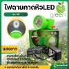 ไฟฉายคาดหัว แสงไฟขาว ไฟส่องกบ ไฟหาปลา ไฟฉายดำน้ำ LED ยี่ห้อ AppleGreen 6G มีสวิตช์เร่งหรี่
