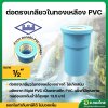 เกลียวใน ทองเหลือง PVC ขนาด 1/2 นิ้ว หนา 13.5 (ท่อน้ำไทย)