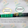 สายพาน V belt สายพานร่อง B แบบร่องเรียบ สายพานไทม์มิ่ง (คละยี่ห้อ) หลายขนาด (ราคาต่อ 1 เส้น)
