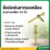 งอท้ายสายพ่นยา ข้อต่อสายพ่นยา 3 ทาง ติดรถไถ เกลียว 2 หุน (1/4 นิ้ว) - ทองเหลือง