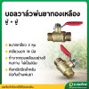 บอลวาล์วพ่นยา ผู้+ผู้ ทองเหลือง