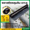 พลาสติกคลุมดิน ผ้าคลุมดิน (เจาะรู) ขนาด กว้าง 80 CM. 100 CM. 120 CM. x 400 หลา หนา 25 ไมครอน สีดำ