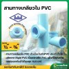 สามทางเกลียวใน PVC พีวีซี ขนาด 1/2 , 3/4 หนา 13.5 ยี่ห้อ ท่อน้ำไทย
