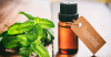 PEPPERMINT ESSENTIAL OIL ((MENTHA PIPERITA) PEPPERMINT ESSENTIAL OIL ((MENTHA PIPERITA)