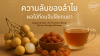 ลำไย