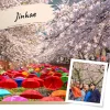 Jinhae